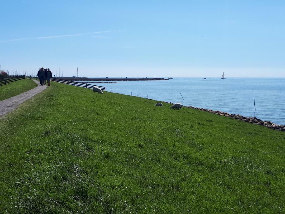 Heerlijk Huis Aan Het Ijsselmeer Ставорен Экстерьер фото